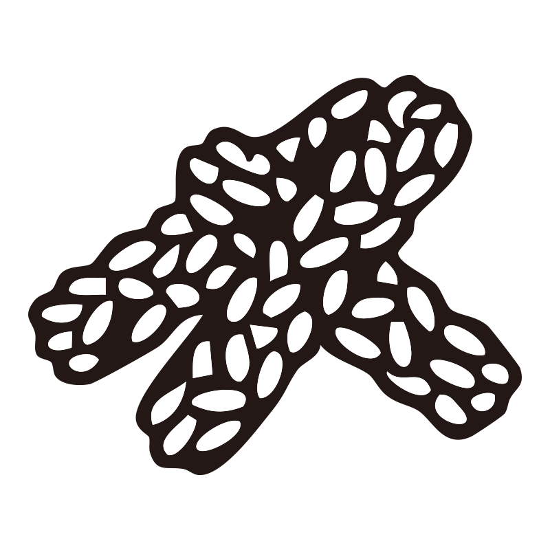 米菓子の特徴を捉えた、洗練され