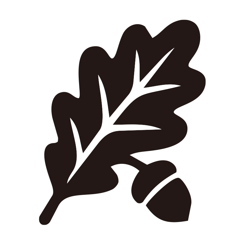 どんぐりの特徴を捉えた、洗練さ