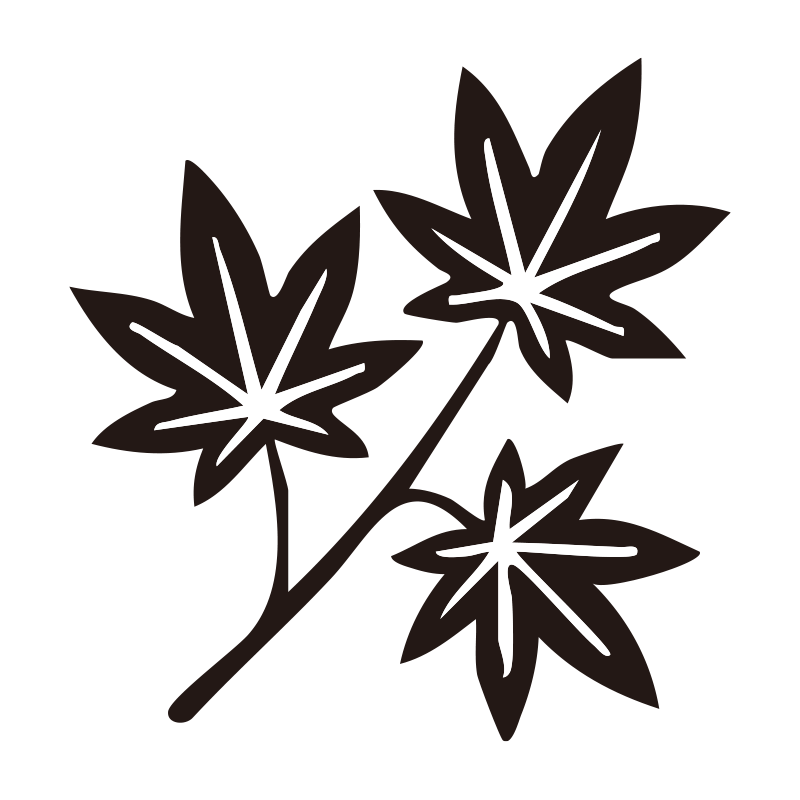 鮮やかに色づいた紅葉（もみじ）