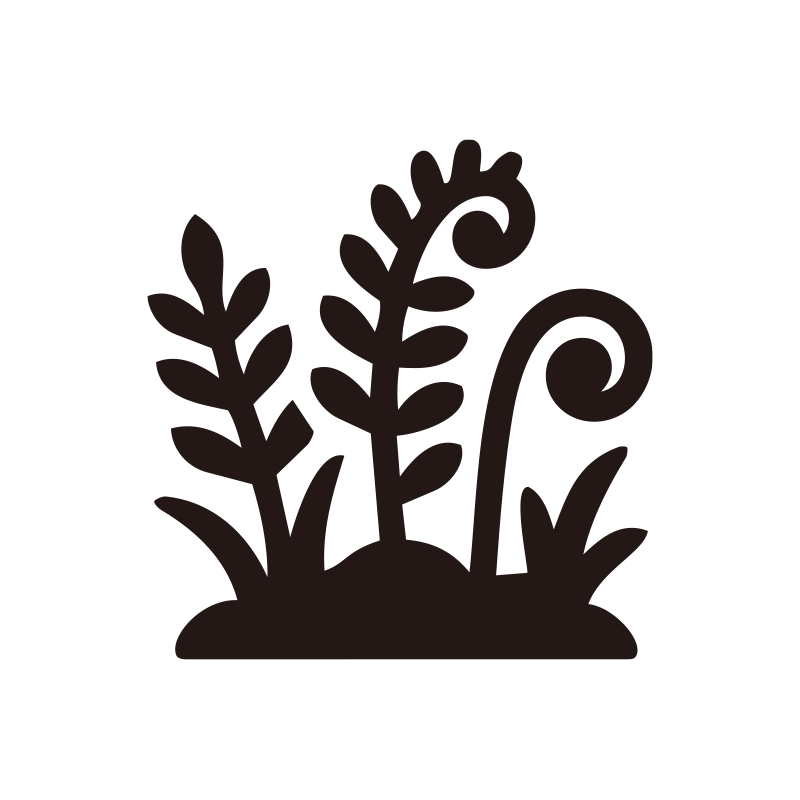 シダ植物の特徴を捉えた、洗練さ