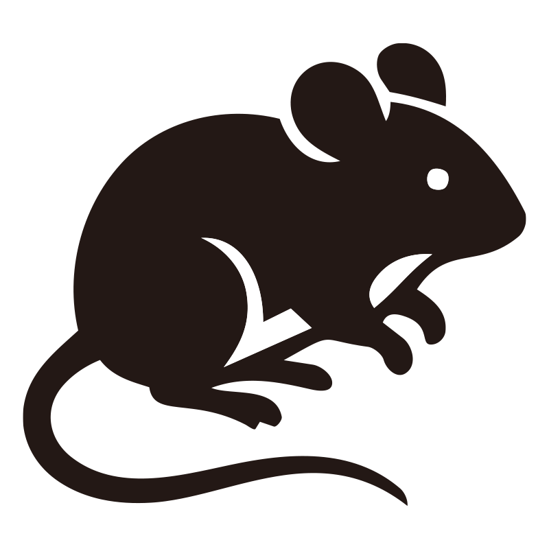 ねずみの特徴を捉えた、洗練され
