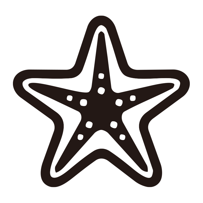 海辺の象徴であるヒトデ（スター