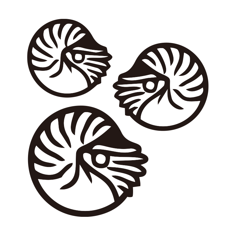 アンモナイトをシンプルに描いた