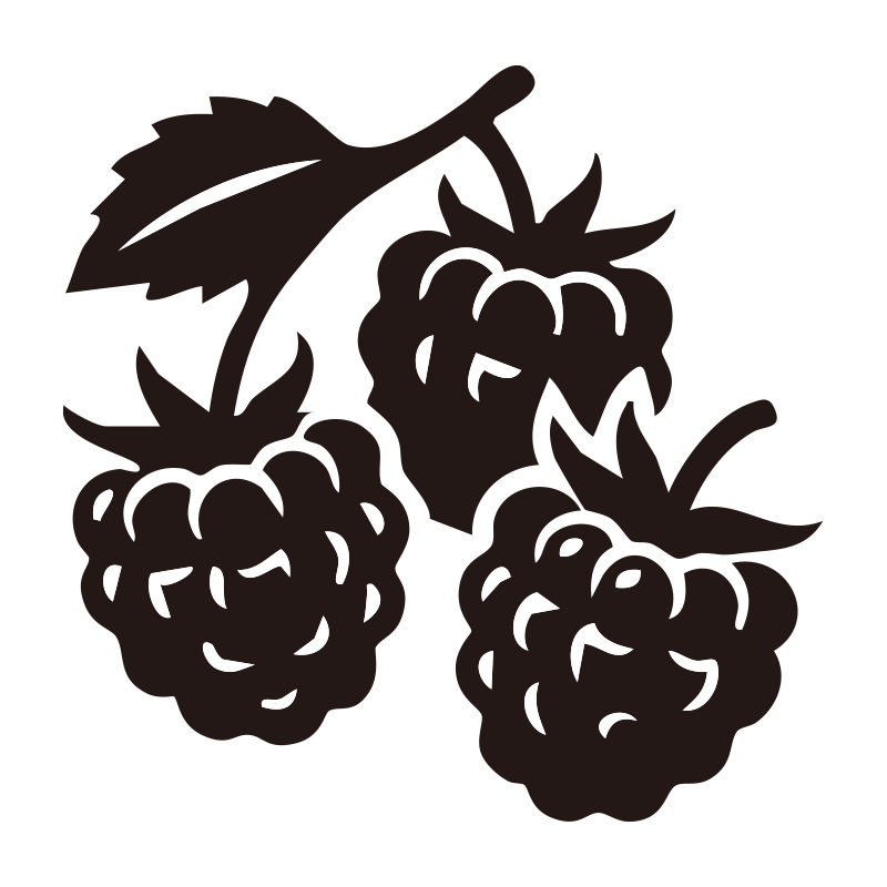 ラズベリーを描いたシンプルなモ