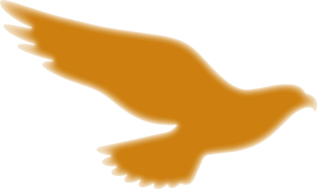 かわいい配色の「たか」のシルエ