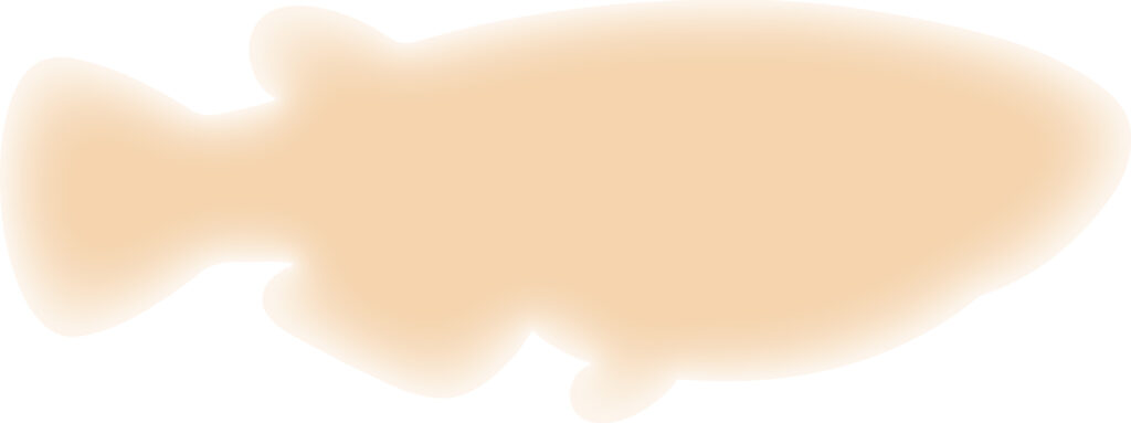 かわいい配色の「さかな」のシル