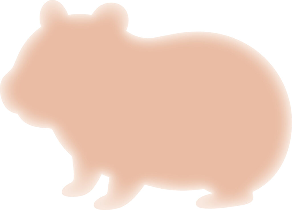 かわいい配色の「モルモット」の