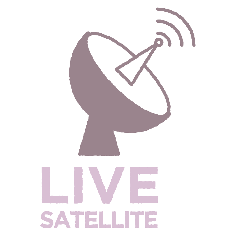 ライブを描いた､手書き風の温か