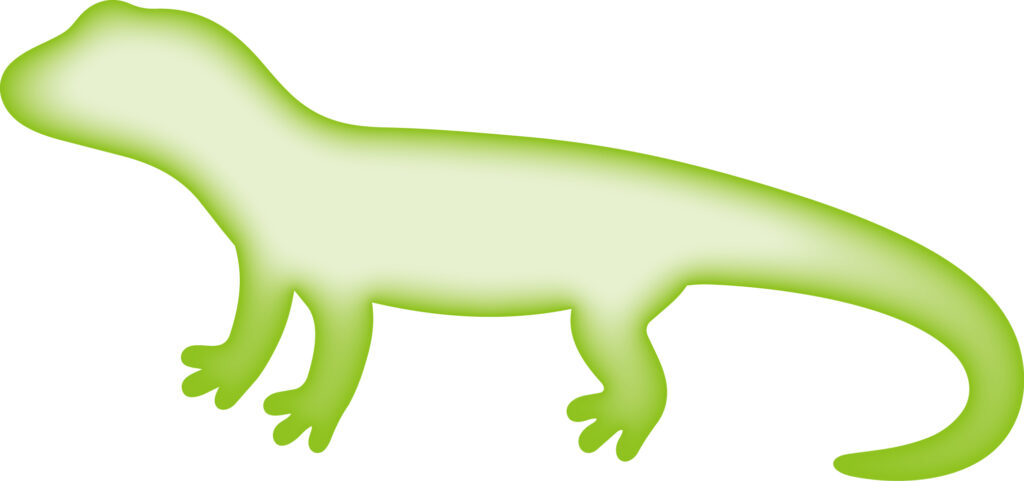 かわいい配色の「とかげ」のシル