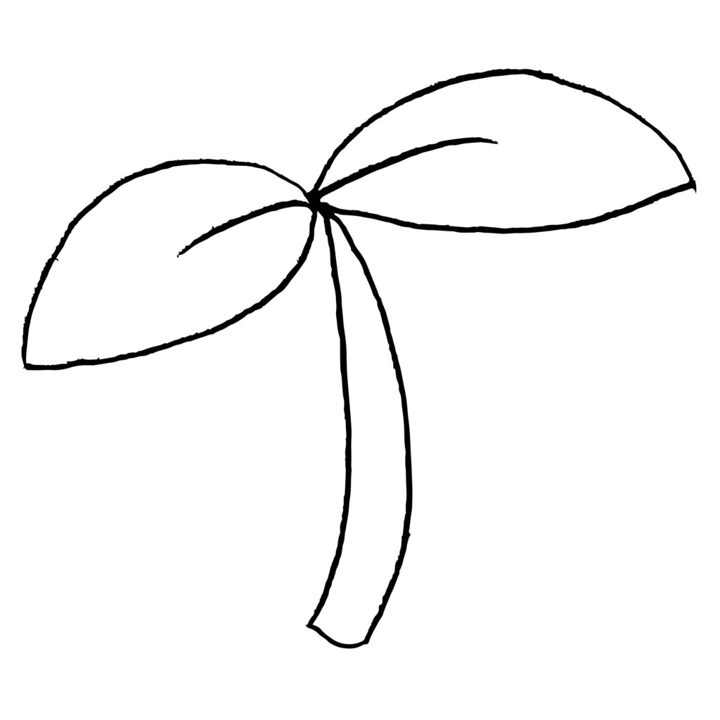 新しい季節の息吹を感じさせる、