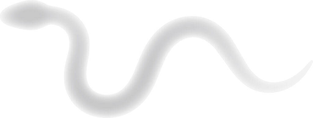 かわいい配色の「へび」のシルエ