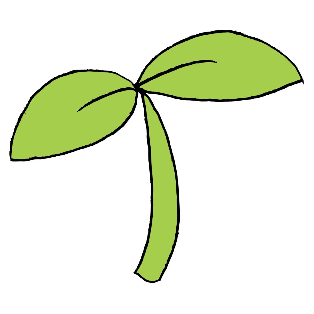 柔らかな緑色で描かれた新芽のカ
