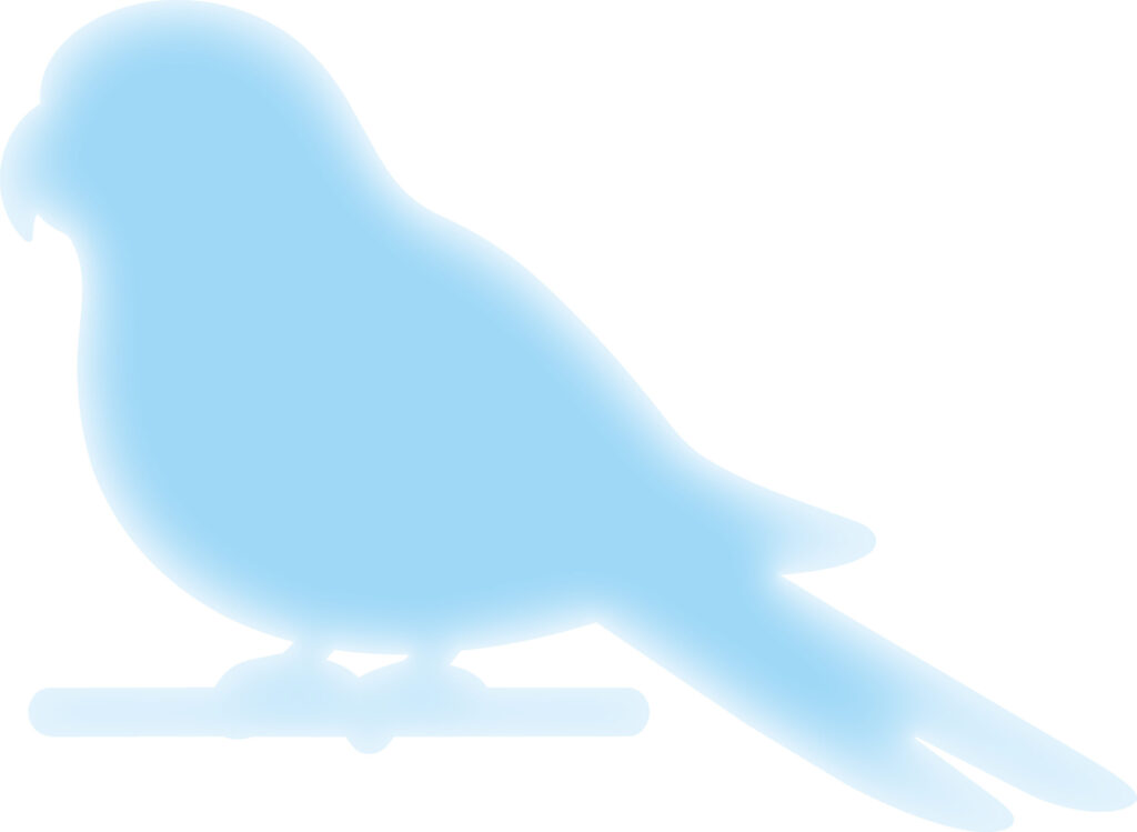 かわいい配色の「いんこ」のシル