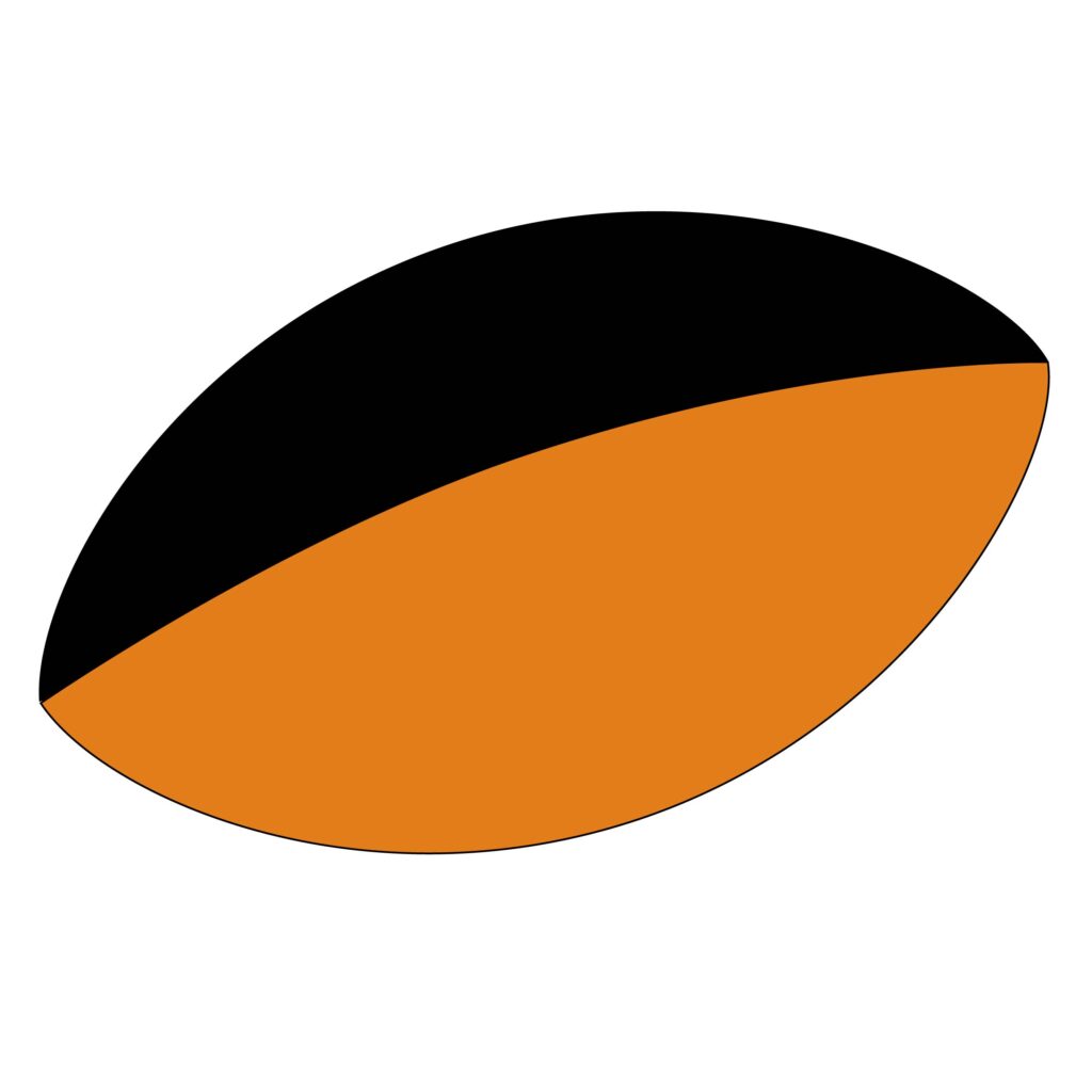 競技で使われる独特の丸みやサイ