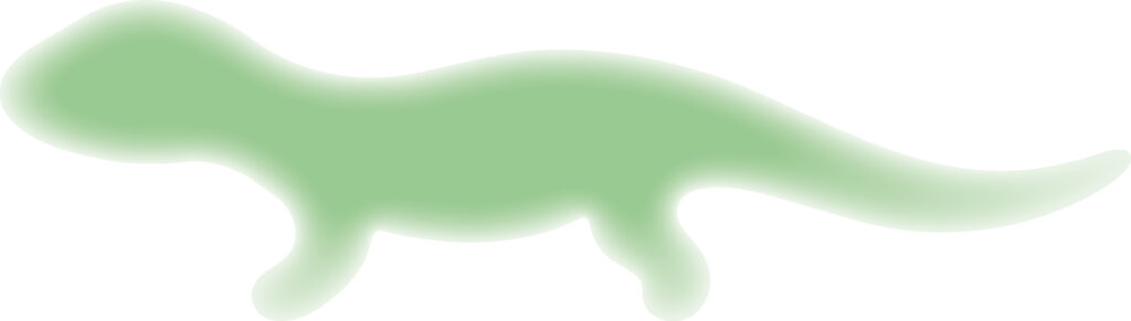 かわいい配色の「とかげ」のシル