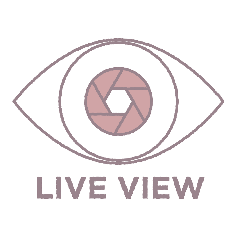 ライブを描いた､手書き風の温か