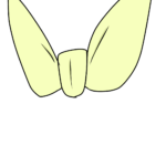簡単な審査（ポートフォリオ） イラスト 34592