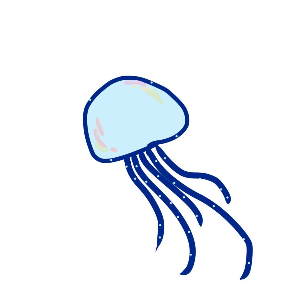 私の海で好きな生物である「くら