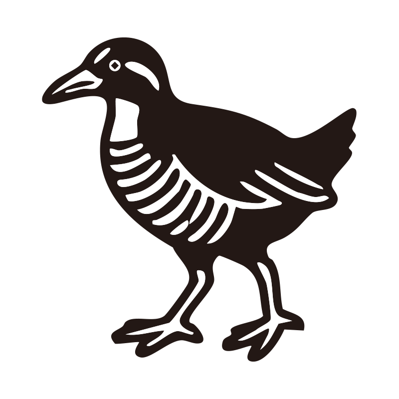沖縄北部に生息するヤンバルクイ