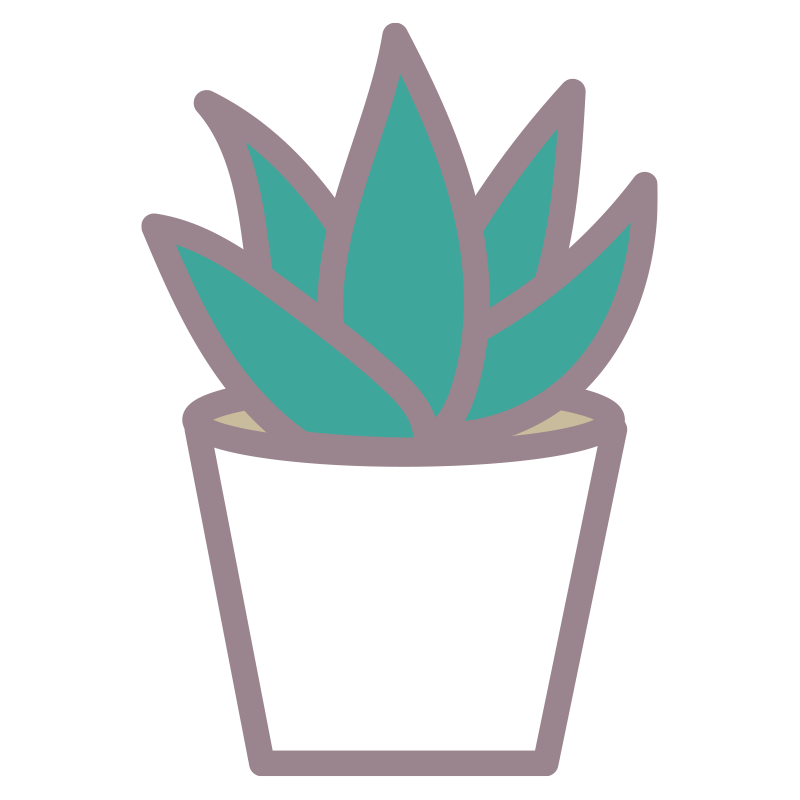 鉢植えに植えられた多肉植物（観