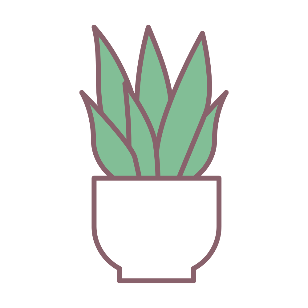 白い鉢にすっきりと植えられた、
