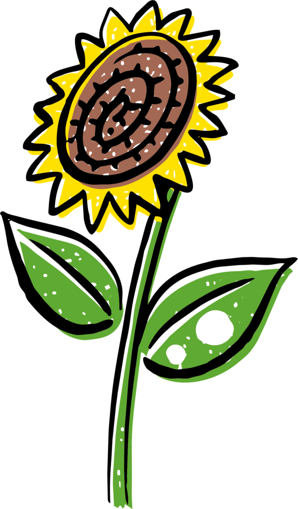 ヒマワリの花のイラストです。 