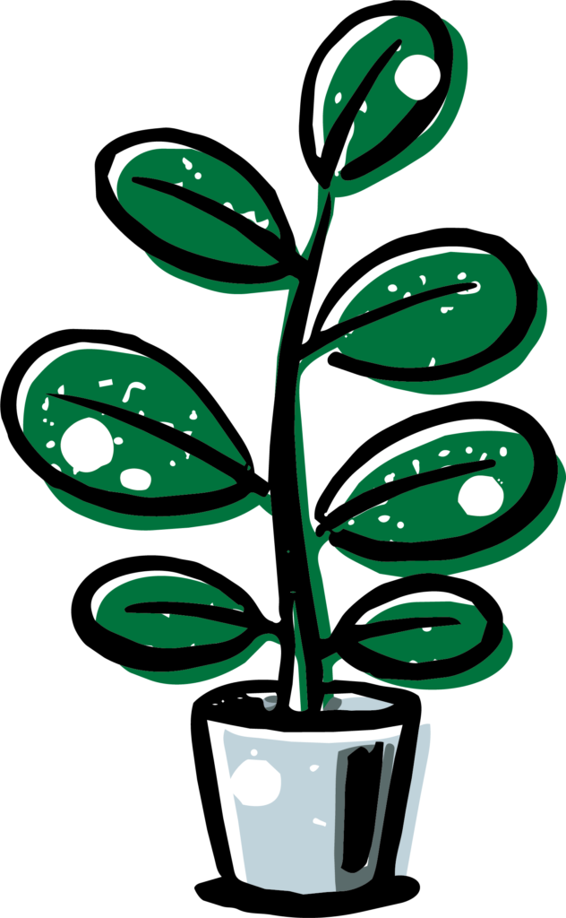 観葉植物、ゴムの木のイメージの