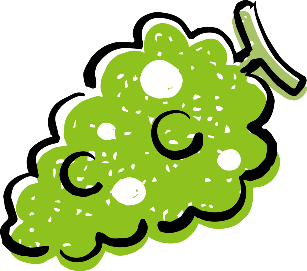マスカットのイラストです。 最