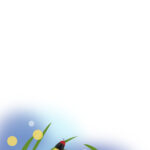 暑中見舞い 暑中見舞いのイラスト入りのテンプレート メッセージ