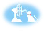 暑中見舞い 暑中見舞いのイラスト入りのテンプレート 猫