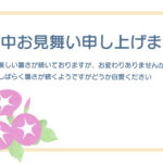 白地をベースにしたクリーンな背景の左下に、みずみずしいピンクの「朝顔（アサガオ）」をあしらった、優しく上品な雰囲気の暑中見舞いのテンプレートです。水彩画のような