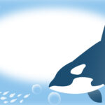 暑中見舞い 暑中見舞いのイラスト入りのテンプレート 海