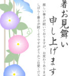 カラフルな「朝顔」が涼を呼ぶ、華やかで端正な和風デザインの残暑見舞いのテンプレートです。ハガキの左側に、ブルー、ピンク、パープル、ライトブルーの色彩豊かな「朝顔