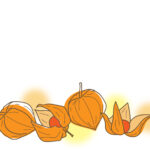 残暑見舞い 残暑見舞いのイラスト入りのテンプレート ほおずき