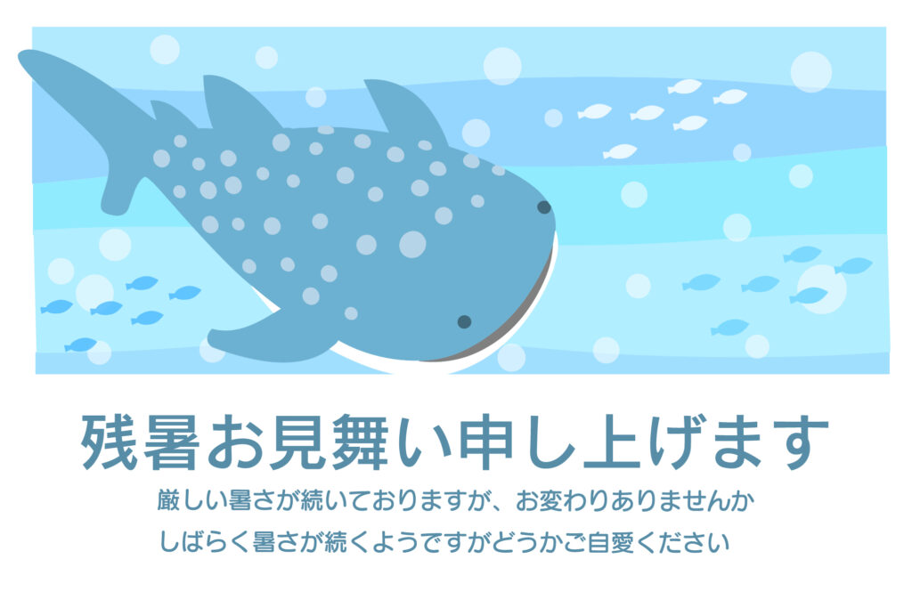 大きな「ジンベエザメ」が海をす