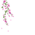 残暑見舞い 残暑見舞いのイラスト入りのテンプレート 親戚