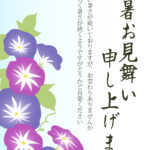 色鮮やかな朝顔が凛と咲く晩夏のひとときデザインしたおしゃれな残暑見舞いのテンプレートです。深みのあるパープルとマゼンタピンクの「朝顔（アサガオ）」を縦に美しく連