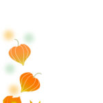 残暑見舞い 残暑見舞いのイラスト入りのテンプレート ほおずき