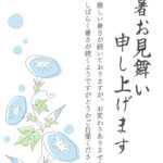 凛と咲く「朝顔」が朝の涼を運ぶ、爽やかなデザインの残暑見舞いのテンプレート。しなやかに伸びる淡いブルーの「朝顔（アサガオ）」を主役に、可憐なつぼみや緑の葉を繊細