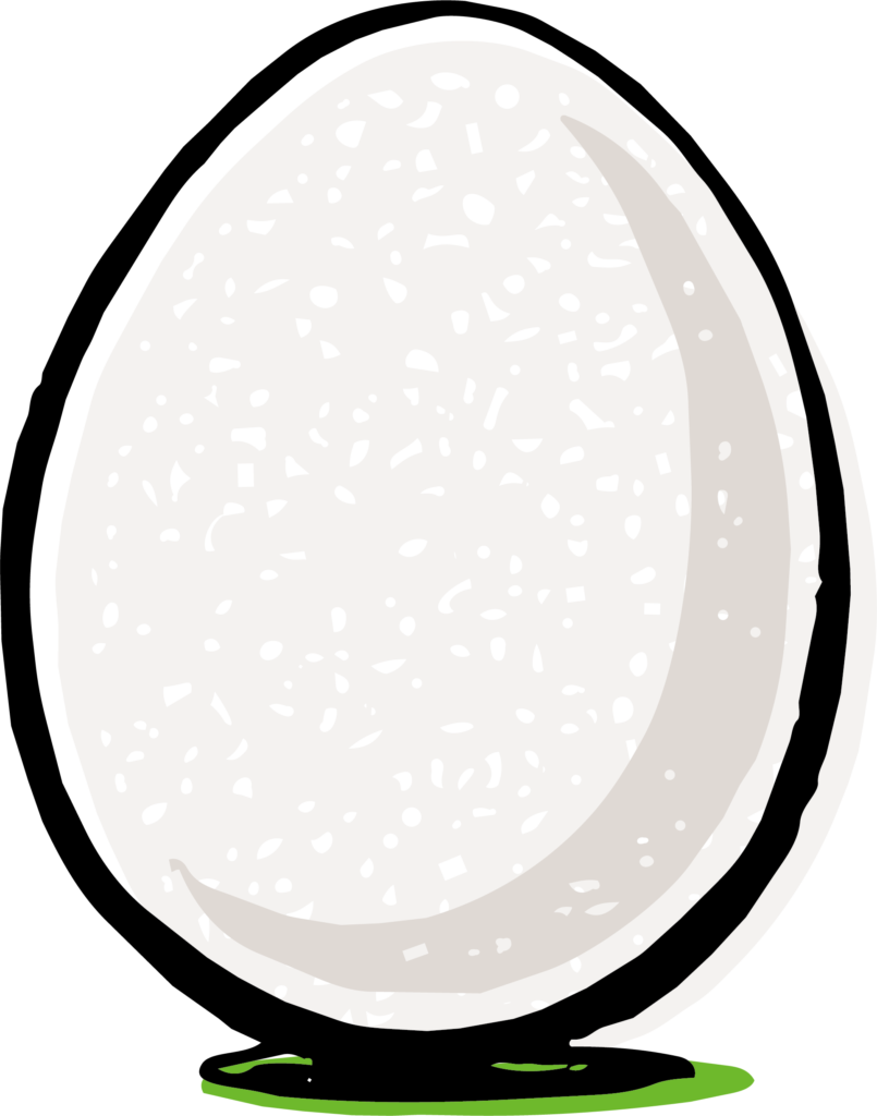 卵のイラストです。 生でも焼い