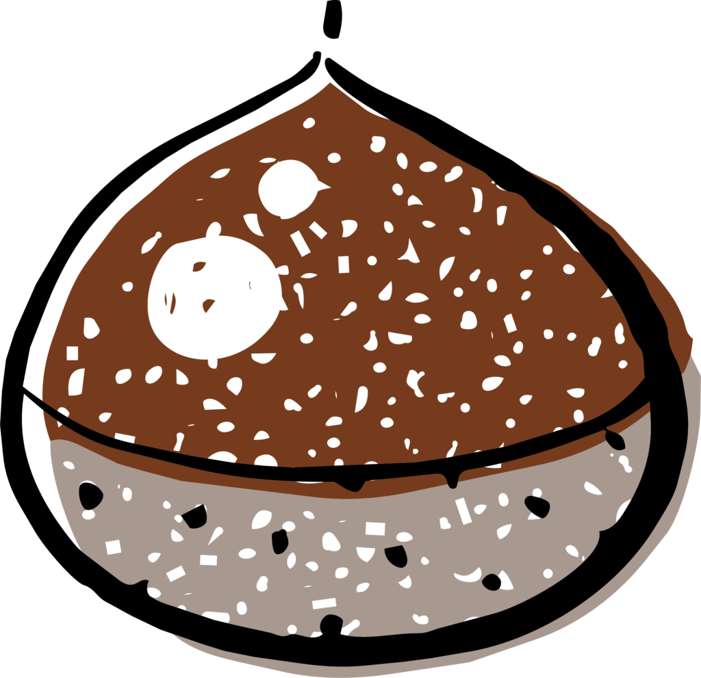 栗のイラストです。 ホクホクし