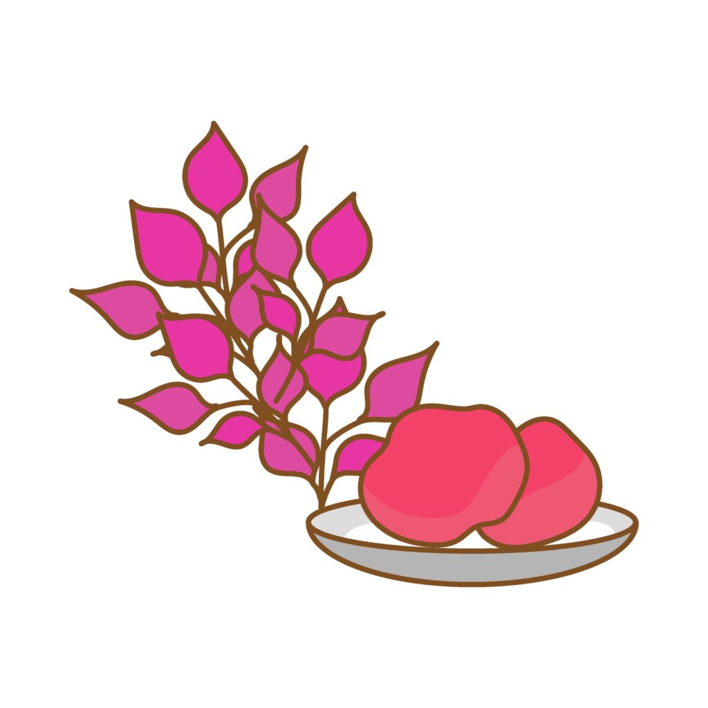 梅仕事の梅干しのイラストです。