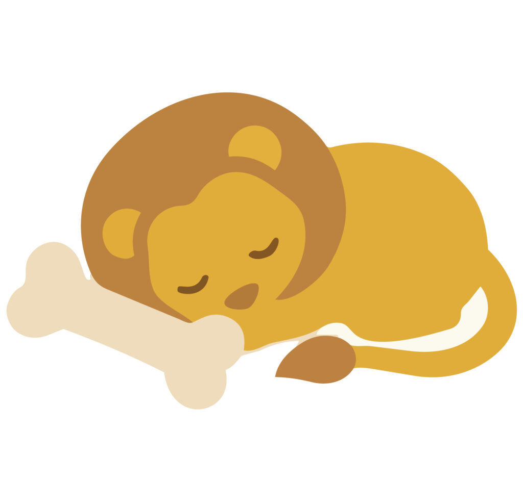 安らかな眠りにつくライオン。百