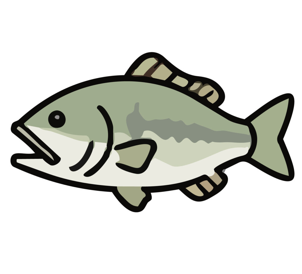 ブラックバスのイラストです。釣