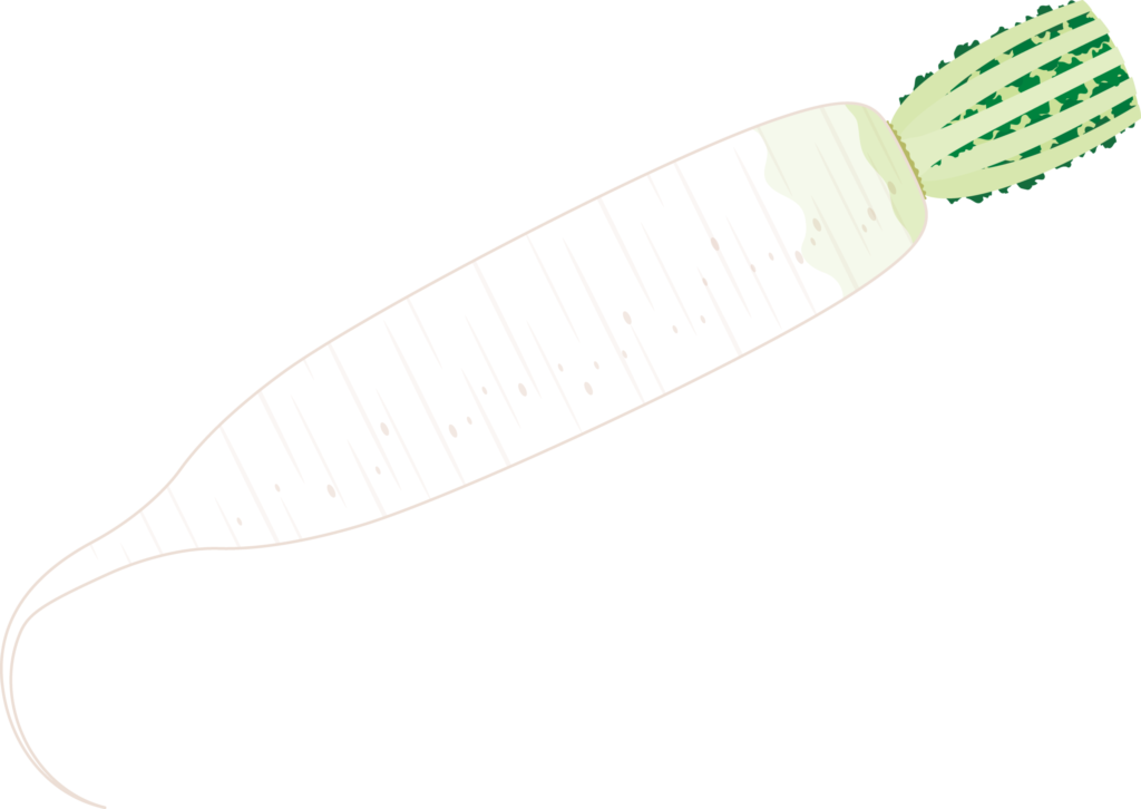 大根のイラストです。 鍋料理や