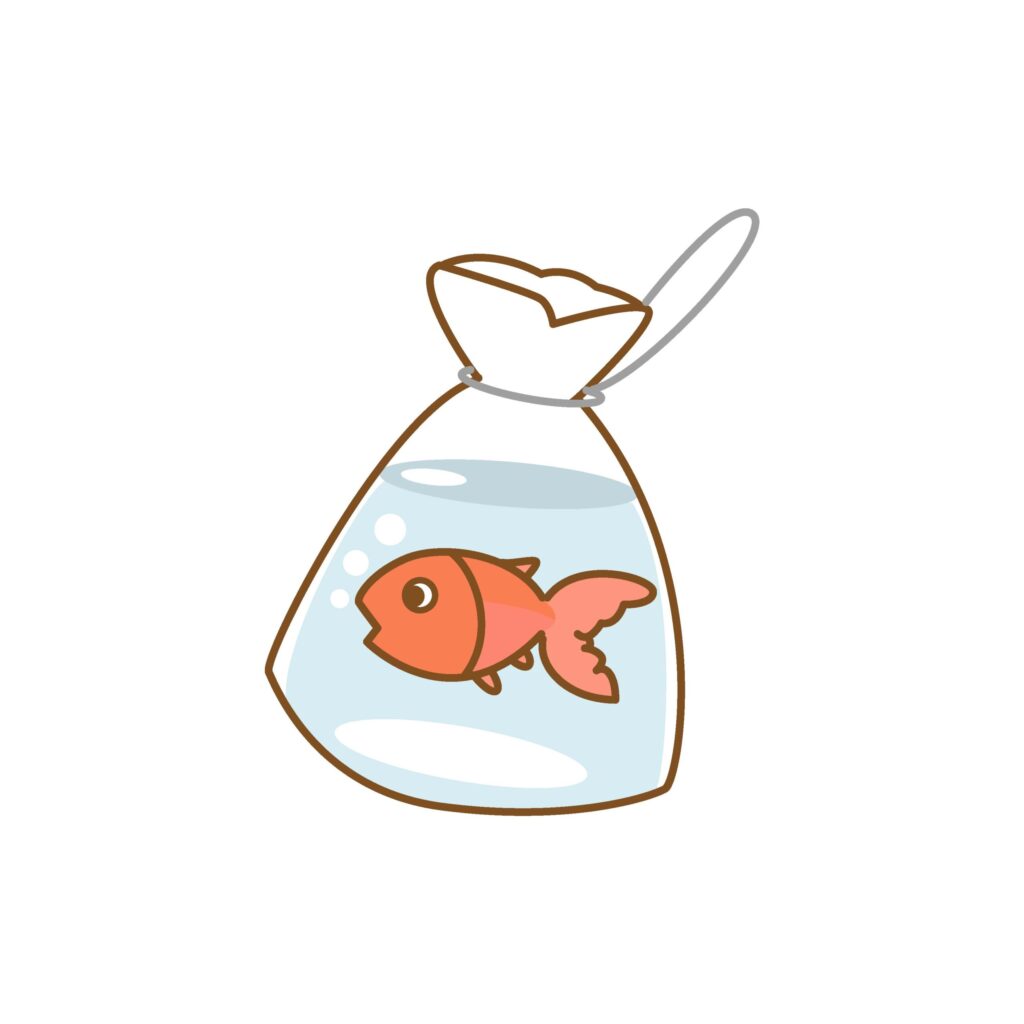 金魚釣りで釣った金魚が袋の水の