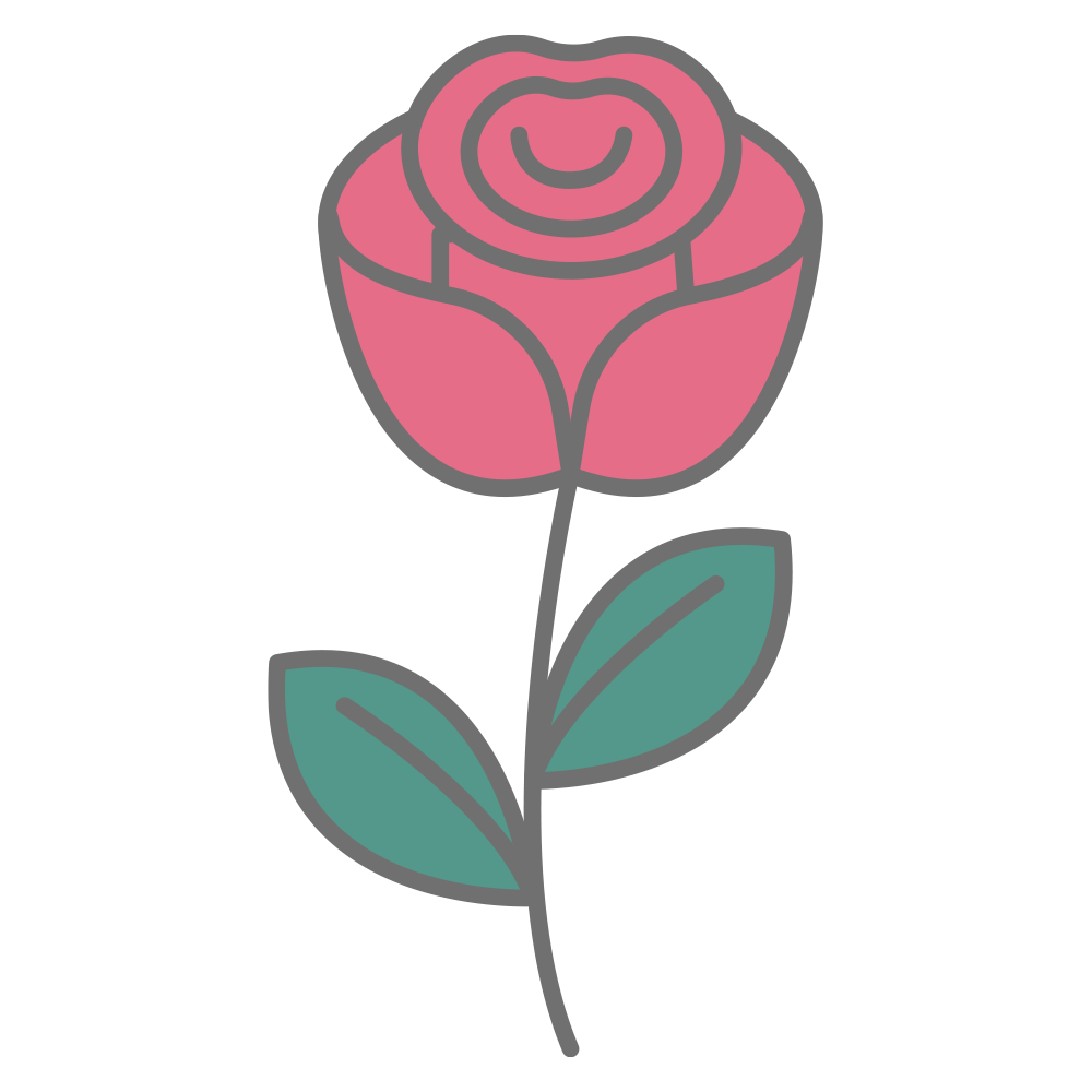 一輪の美しいピンクの「薔薇（バ
