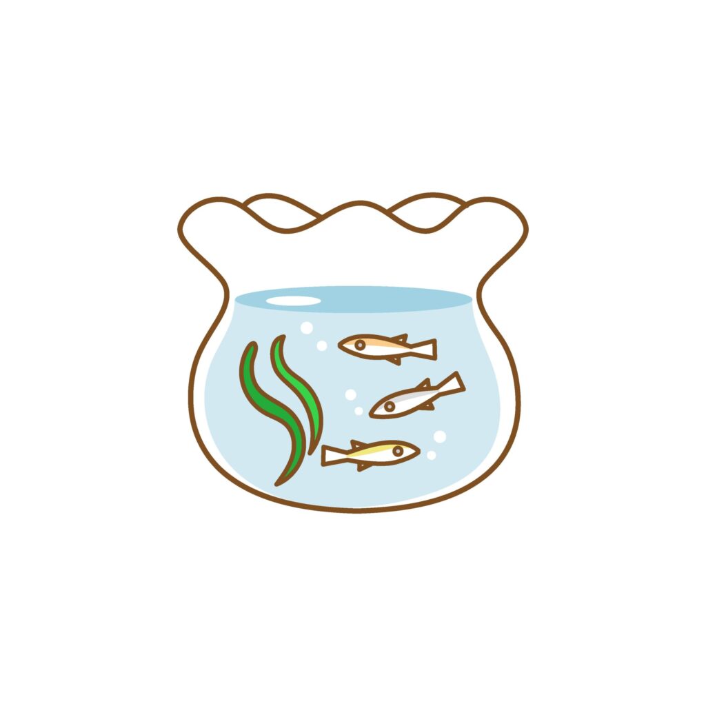 水槽の中のメダカのイラストです