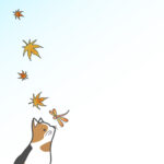 残暑見舞い 残暑見舞いのイラスト入りのテンプレート 紅葉