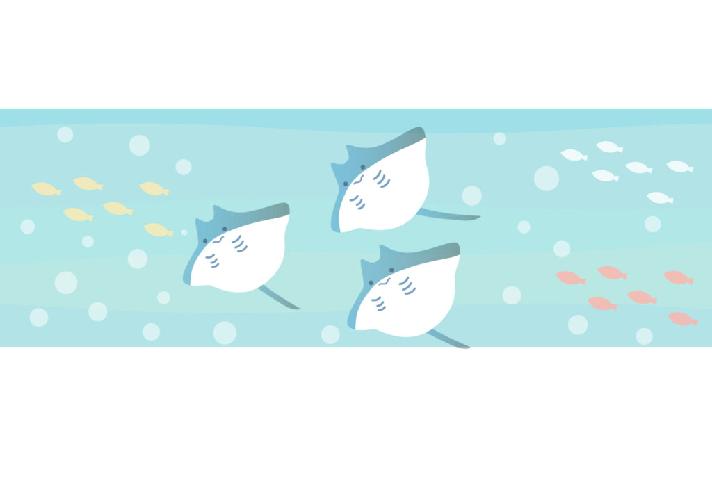 残暑見舞い 残暑見舞いのイラスト入りのテンプレート ポストカード